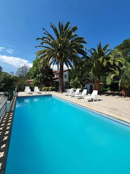 Villa Dreams And Friends On The Coast Of Bilbao. Getxo